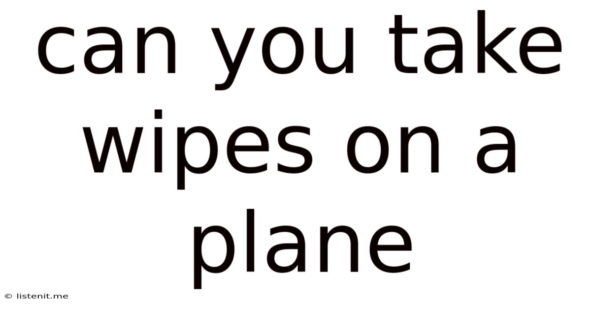 Can You Take Wipes On A Plane