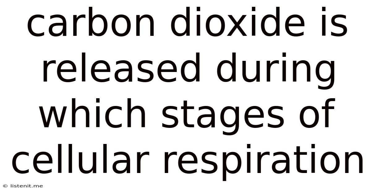 Carbon Dioxide Is Released During Which Stages Of Cellular Respiration