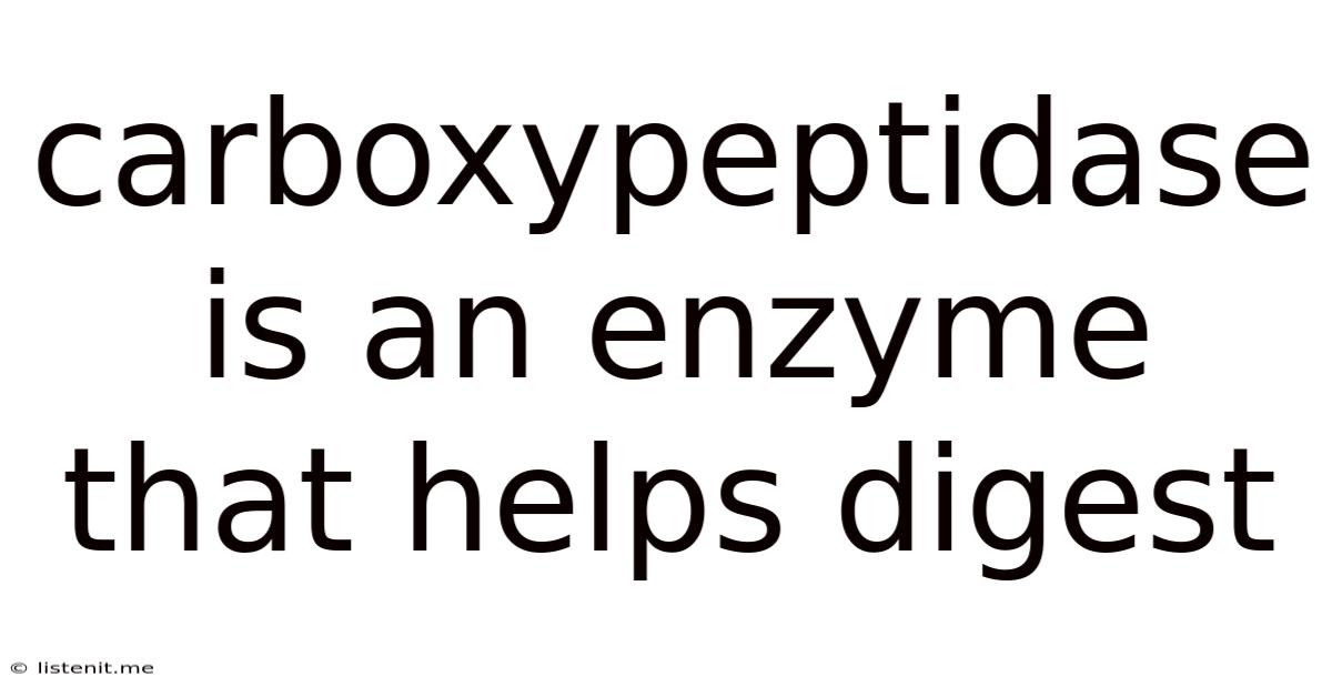 Carboxypeptidase Is An Enzyme That Helps Digest