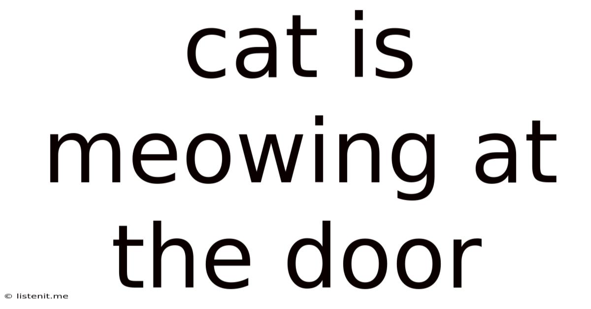 Cat Is Meowing At The Door