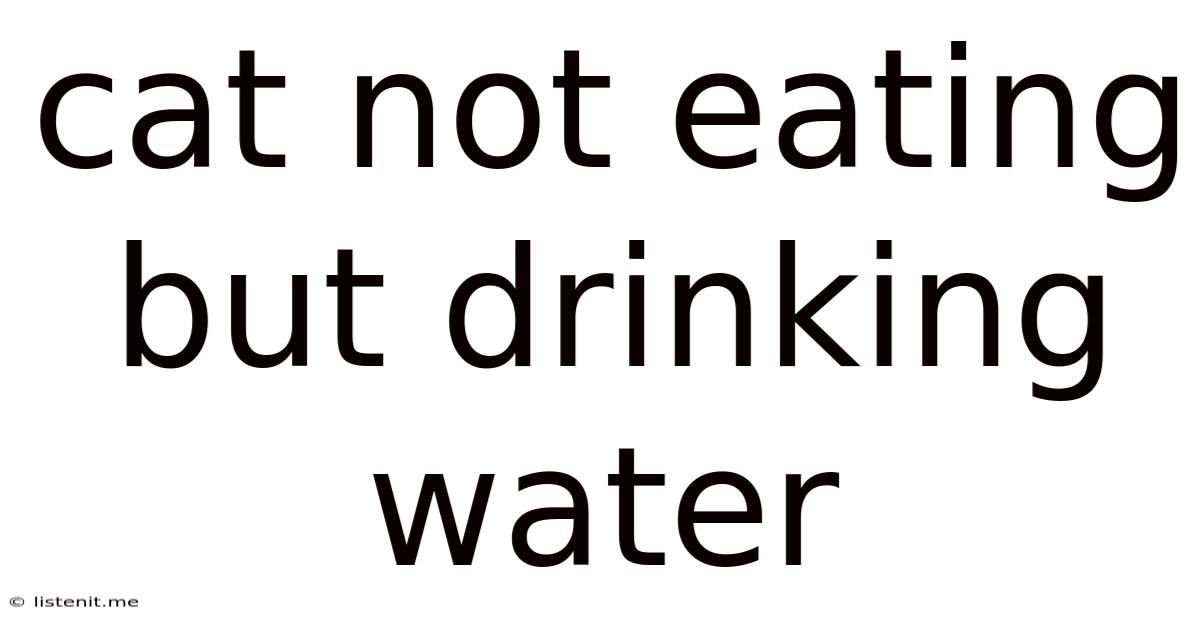 Cat Not Eating But Drinking Water