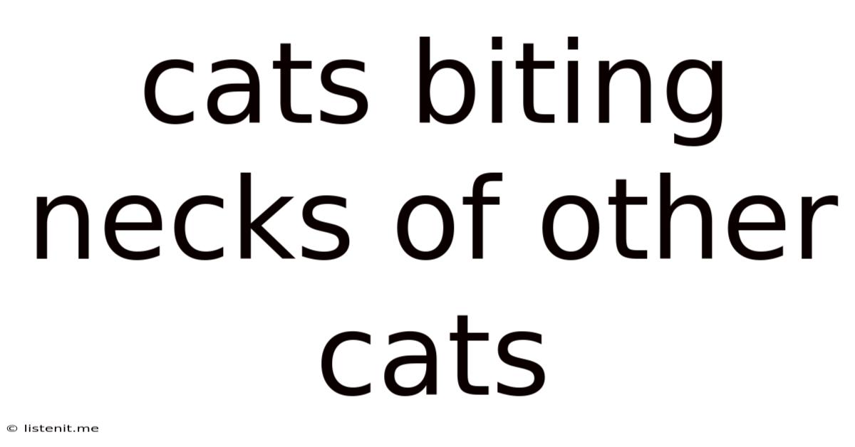 Cats Biting Necks Of Other Cats
