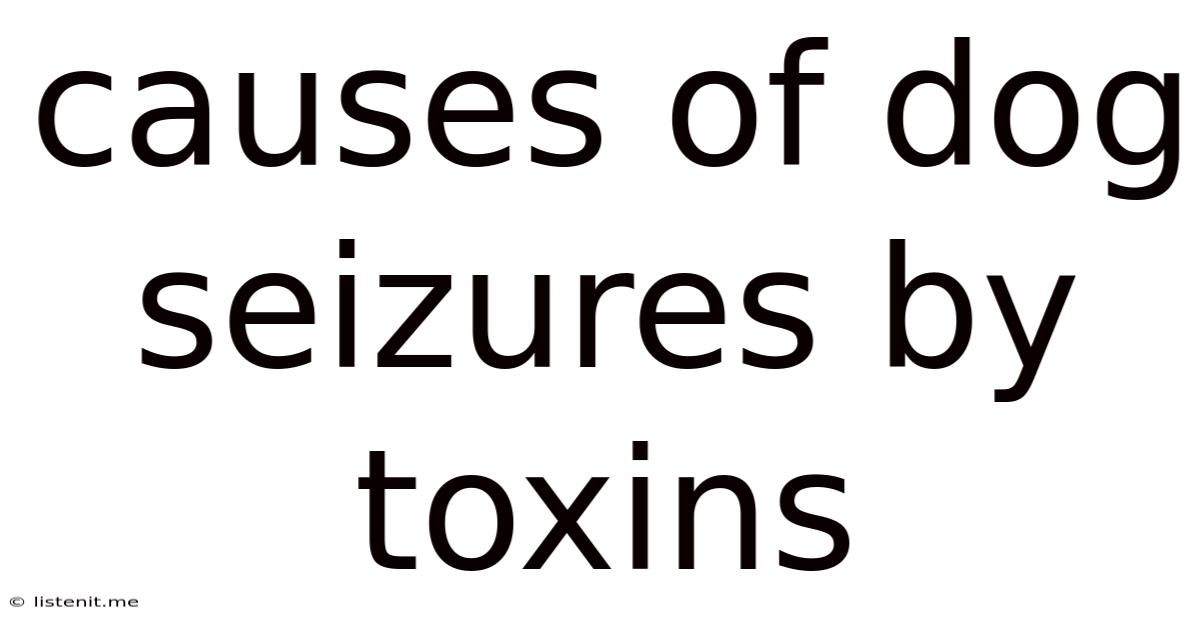 Causes Of Dog Seizures By Toxins