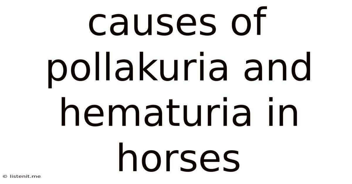 Causes Of Pollakuria And Hematuria In Horses