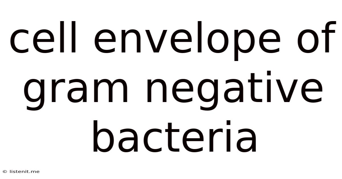 Cell Envelope Of Gram Negative Bacteria