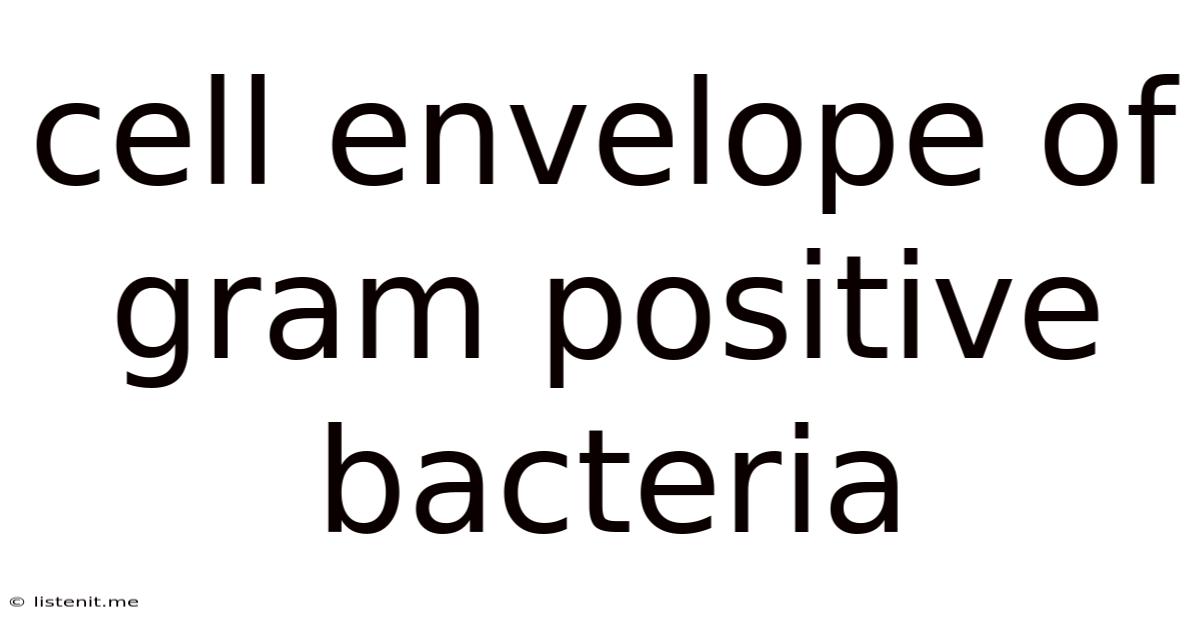 Cell Envelope Of Gram Positive Bacteria