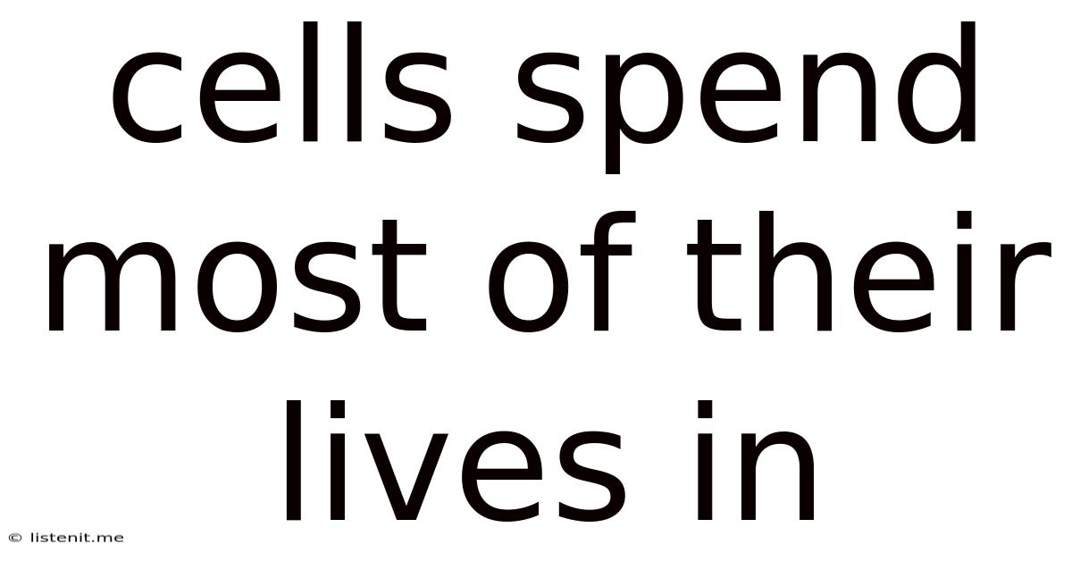 Cells Spend Most Of Their Lives In