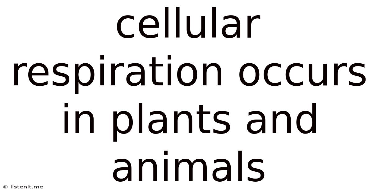 Cellular Respiration Occurs In Plants And Animals