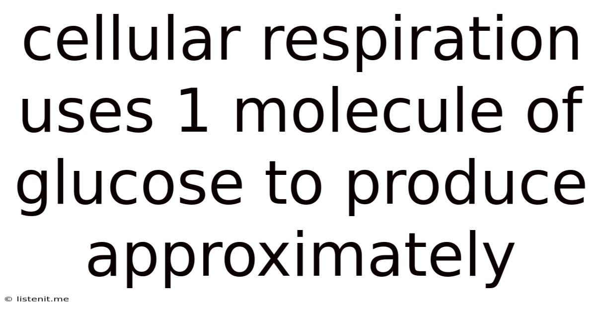 Cellular Respiration Uses 1 Molecule Of Glucose To Produce Approximately