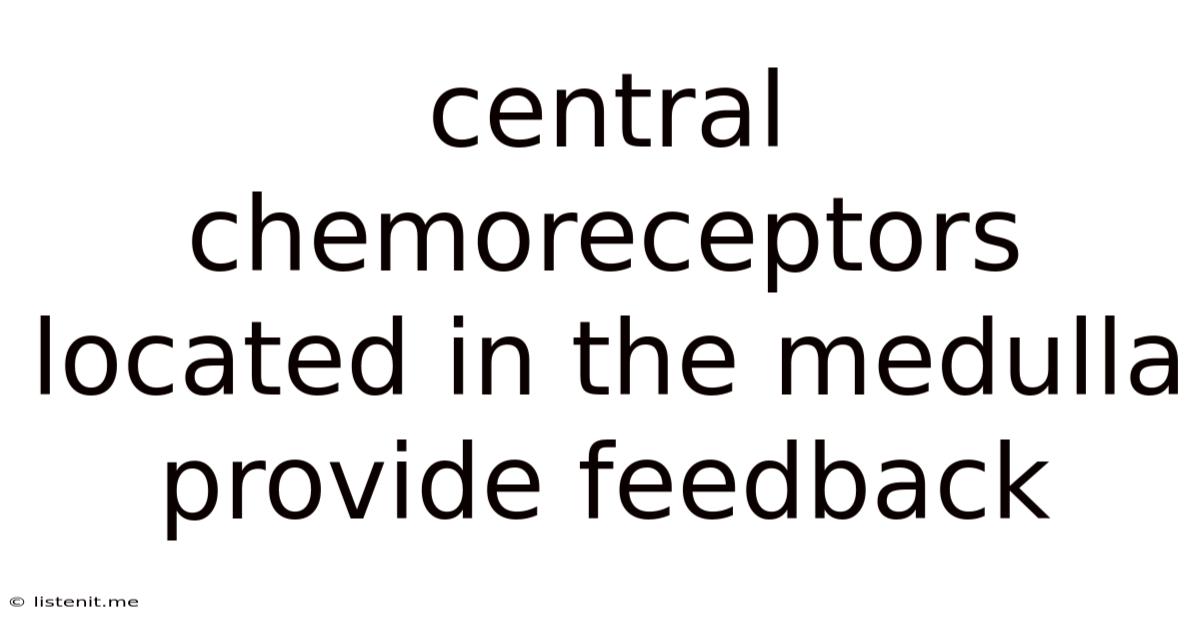 Central Chemoreceptors Located In The Medulla Provide Feedback