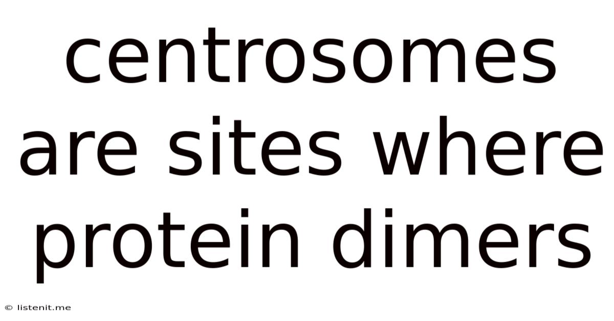 Centrosomes Are Sites Where Protein Dimers