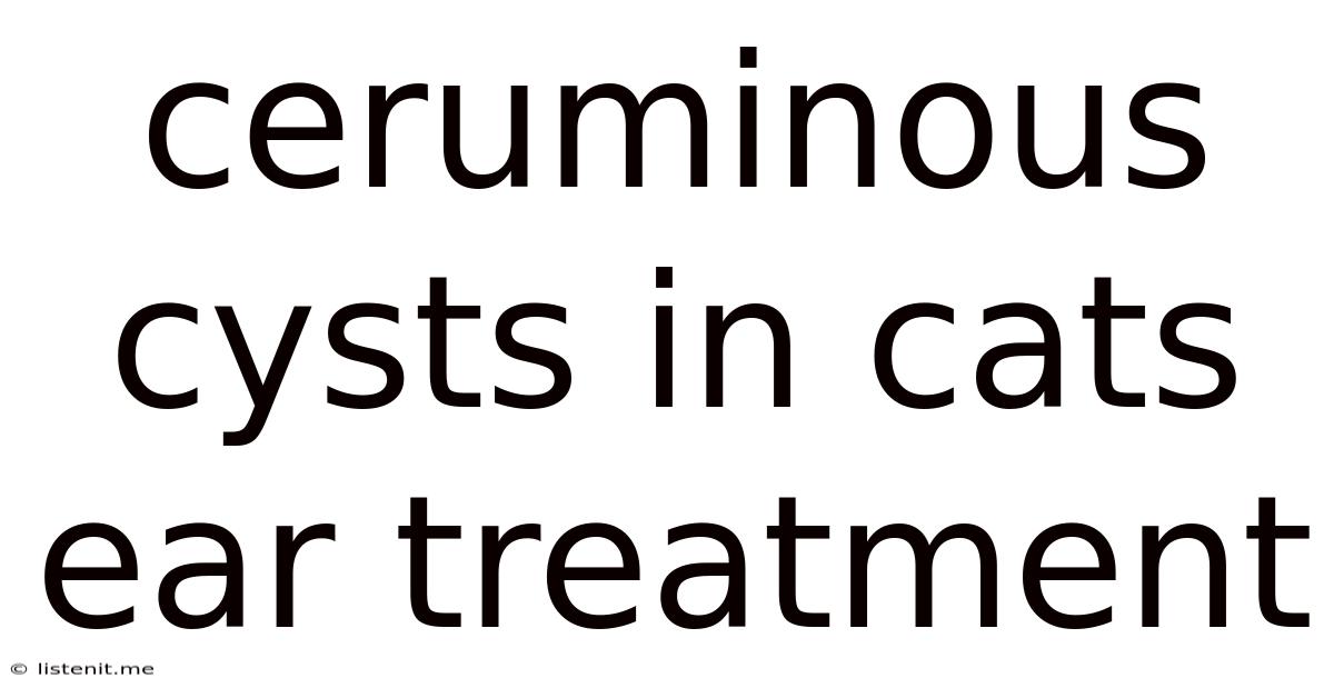 Ceruminous Cysts In Cats Ear Treatment