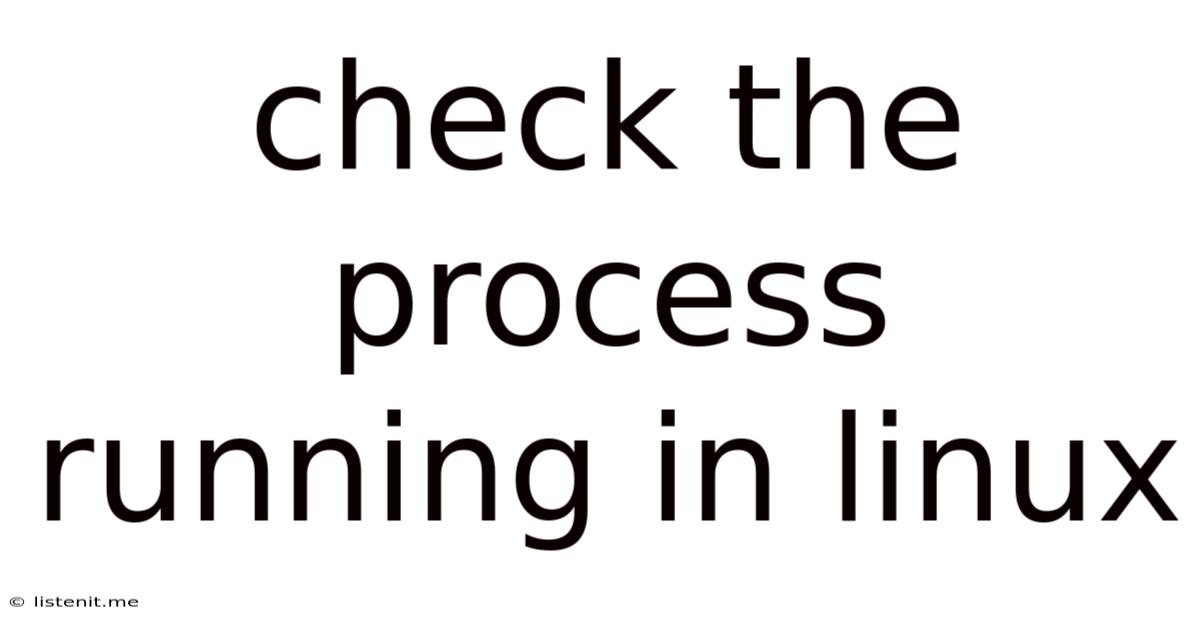 Check The Process Running In Linux