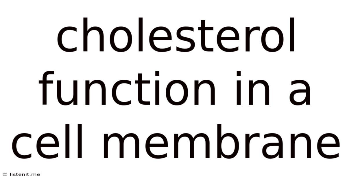 Cholesterol Function In A Cell Membrane