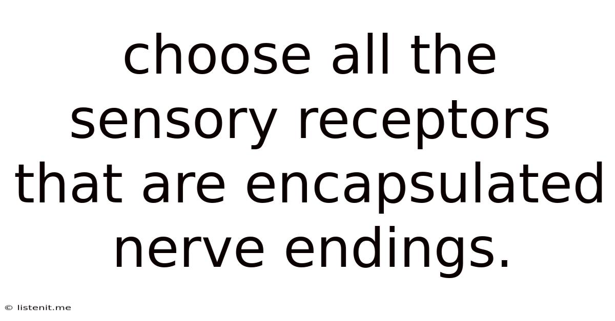 Choose All The Sensory Receptors That Are Encapsulated Nerve Endings.