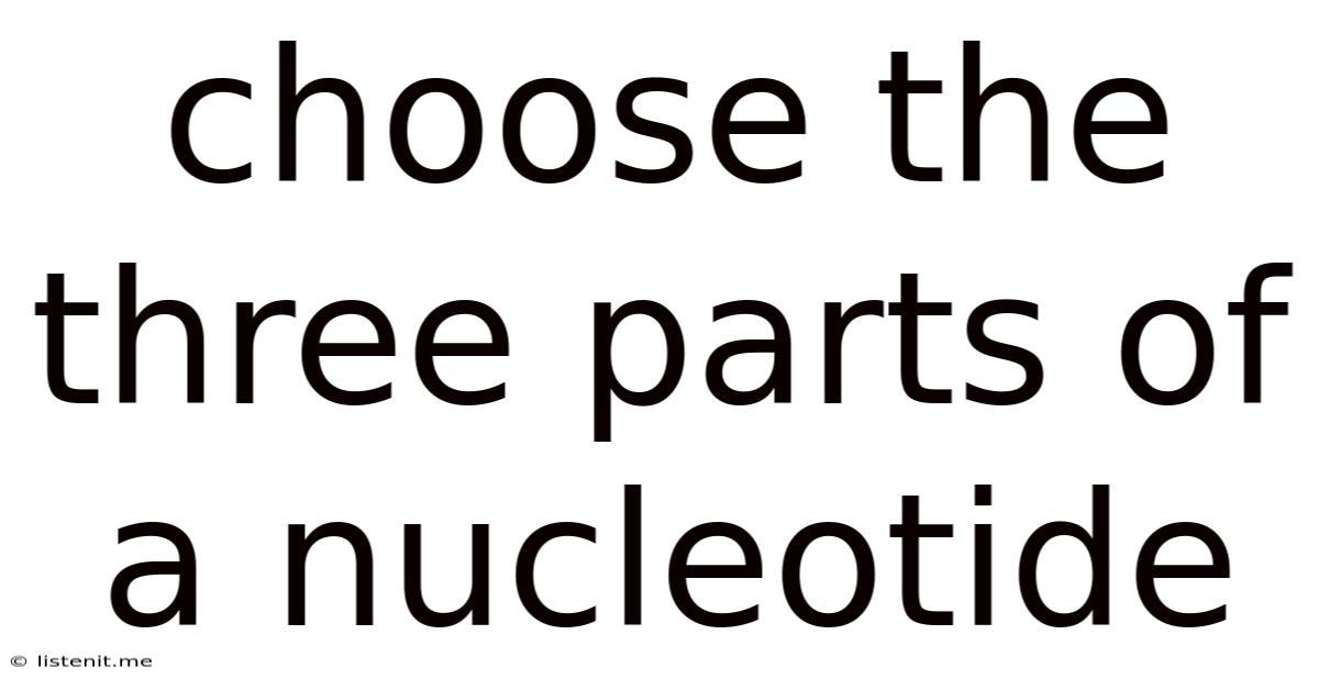 Choose The Three Parts Of A Nucleotide