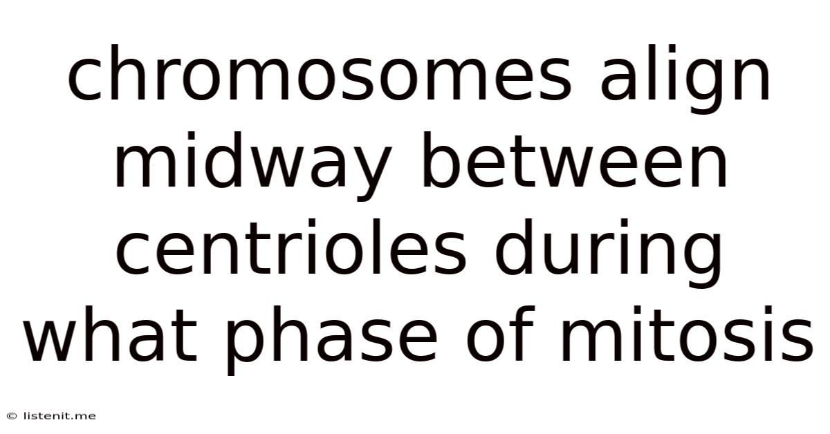 Chromosomes Align Midway Between Centrioles During What Phase Of Mitosis