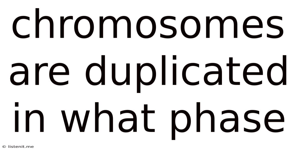 Chromosomes Are Duplicated In What Phase