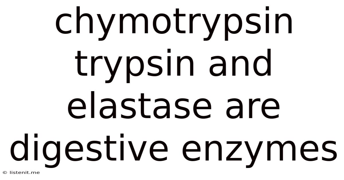 Chymotrypsin Trypsin And Elastase Are Digestive Enzymes