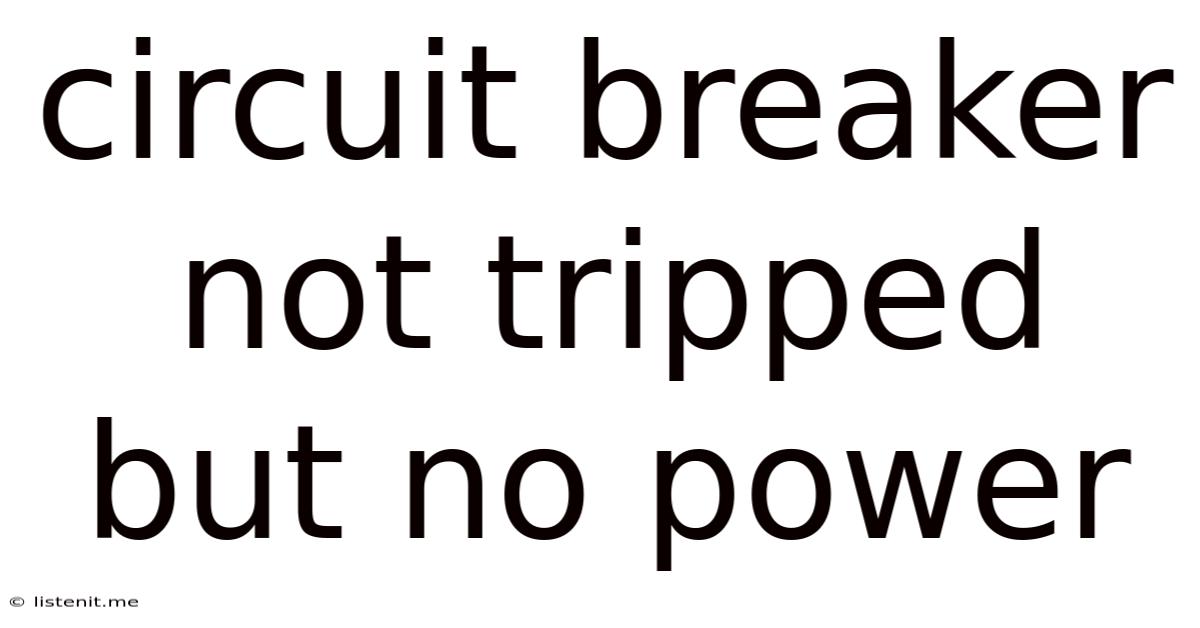 Circuit Breaker Not Tripped But No Power