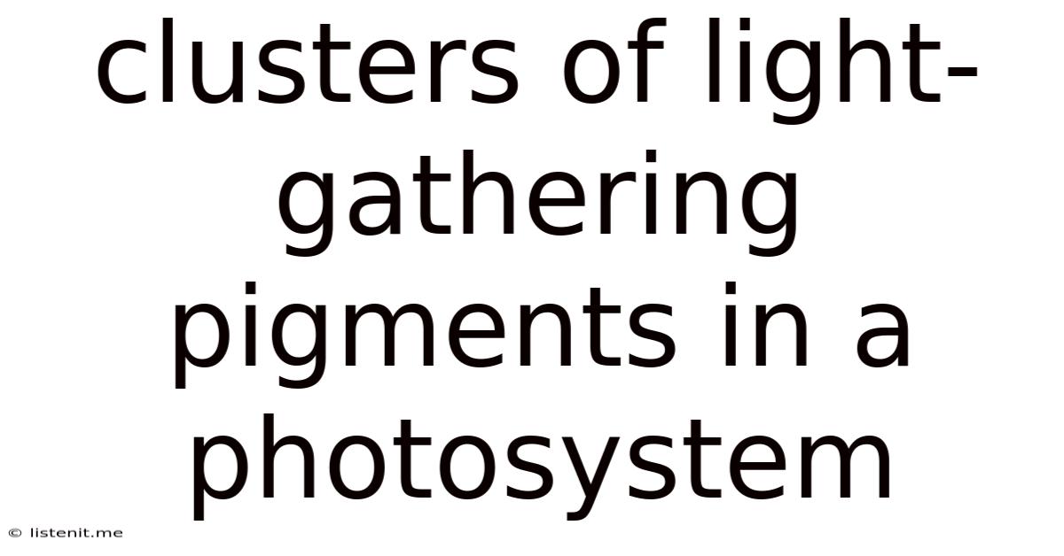 Clusters Of Light Gathering Pigments In A Photosystem