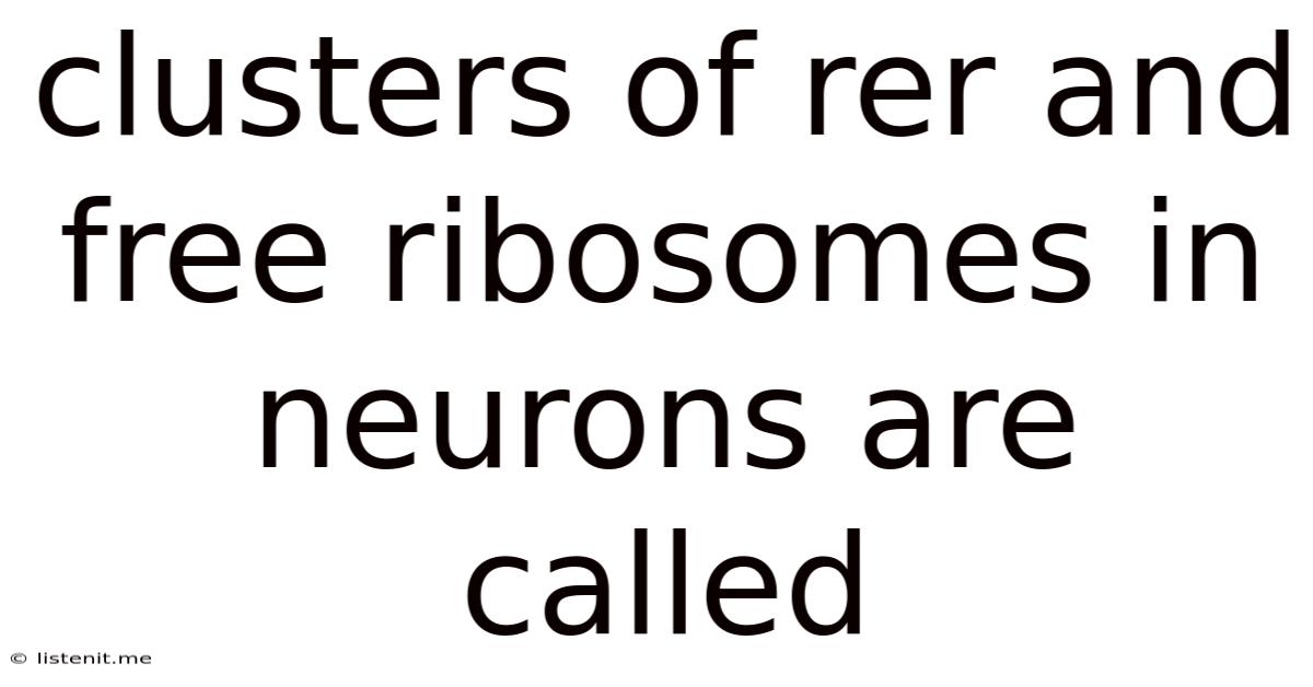 Clusters Of Rer And Free Ribosomes In Neurons Are Called