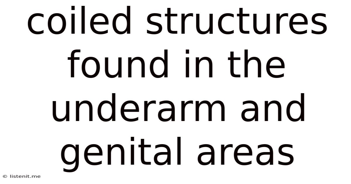 Coiled Structures Found In The Underarm And Genital Areas
