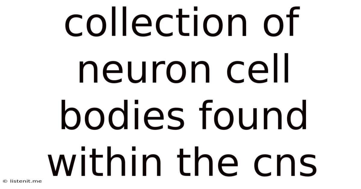 Collection Of Neuron Cell Bodies Found Within The Cns