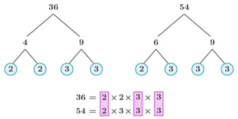 Common Factors Of 36 And 54