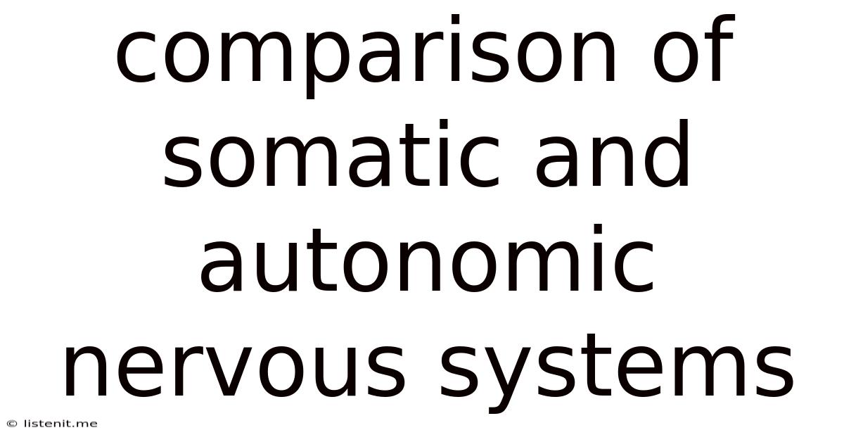Comparison Of Somatic And Autonomic Nervous Systems