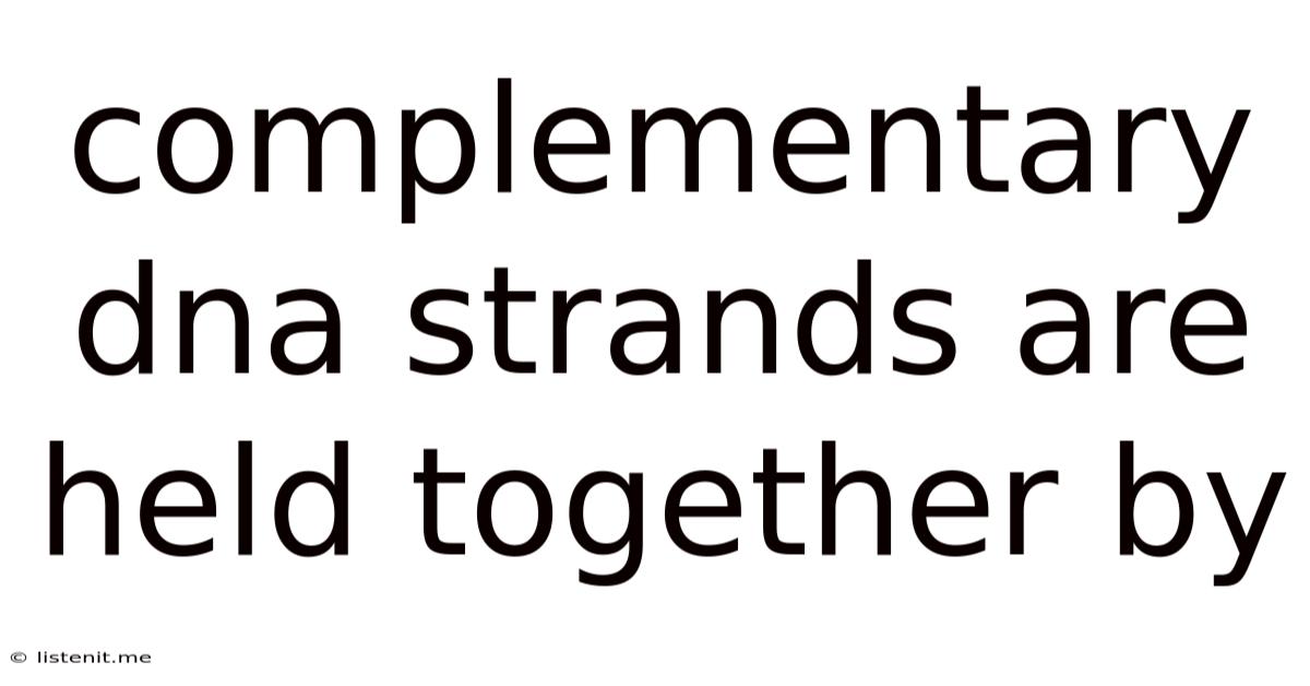Complementary Dna Strands Are Held Together By