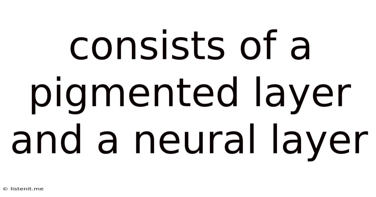 Consists Of A Pigmented Layer And A Neural Layer