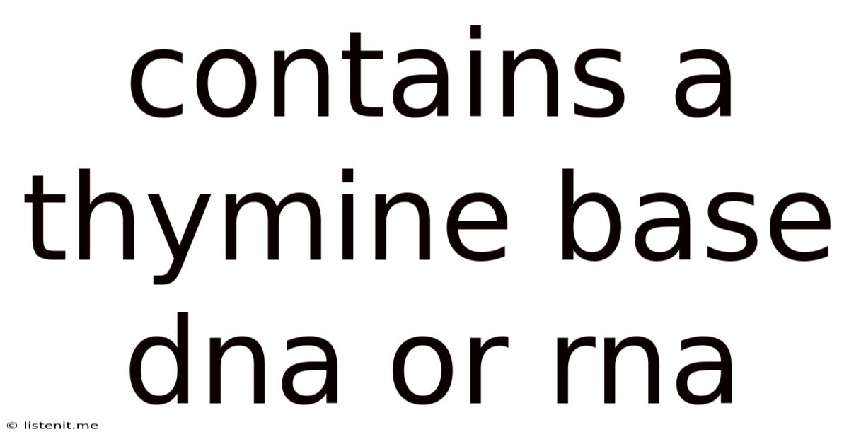 Contains A Thymine Base Dna Or Rna