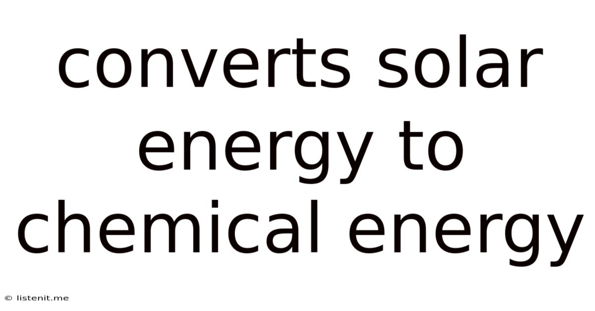 Converts Solar Energy To Chemical Energy
