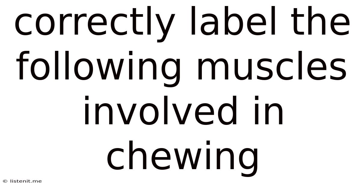 Correctly Label The Following Muscles Involved In Chewing