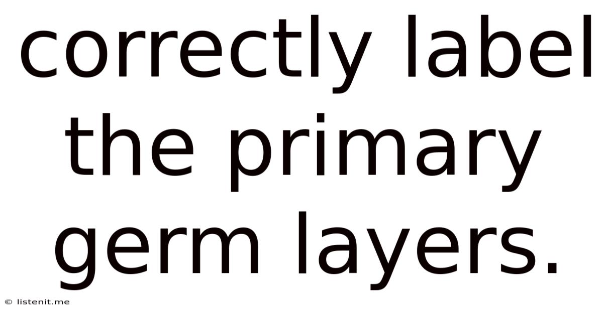 Correctly Label The Primary Germ Layers.