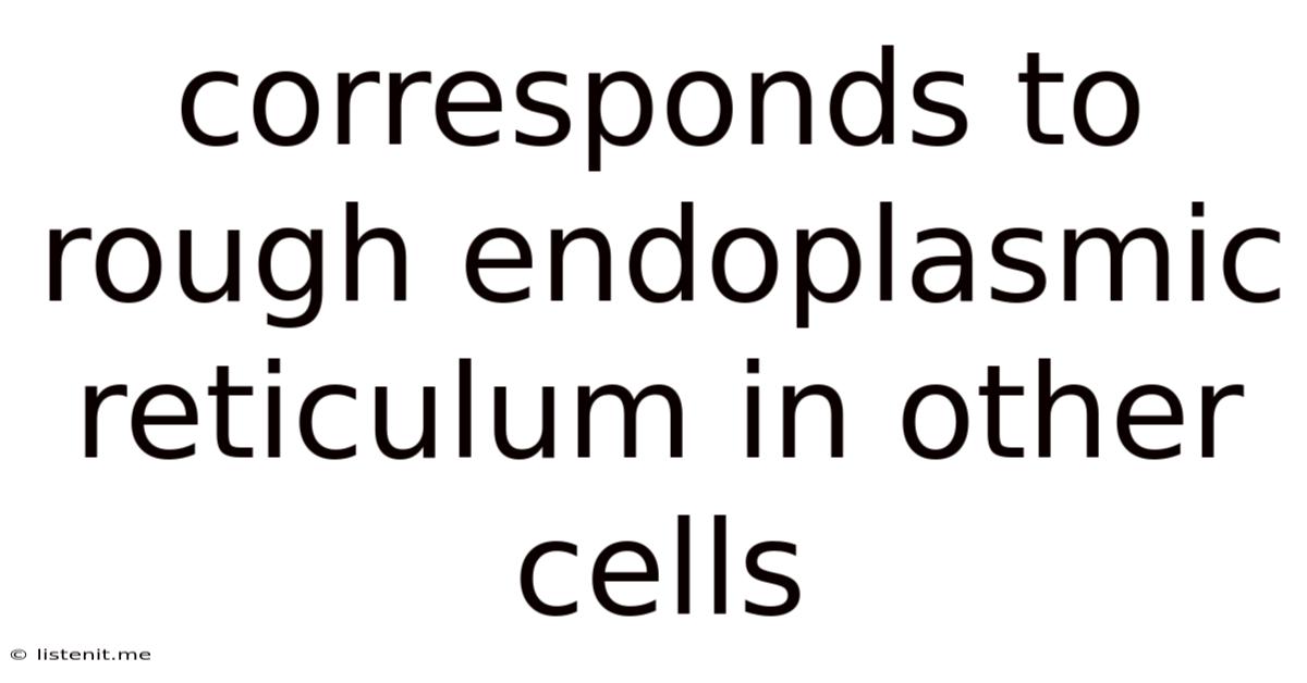 Corresponds To Rough Endoplasmic Reticulum In Other Cells