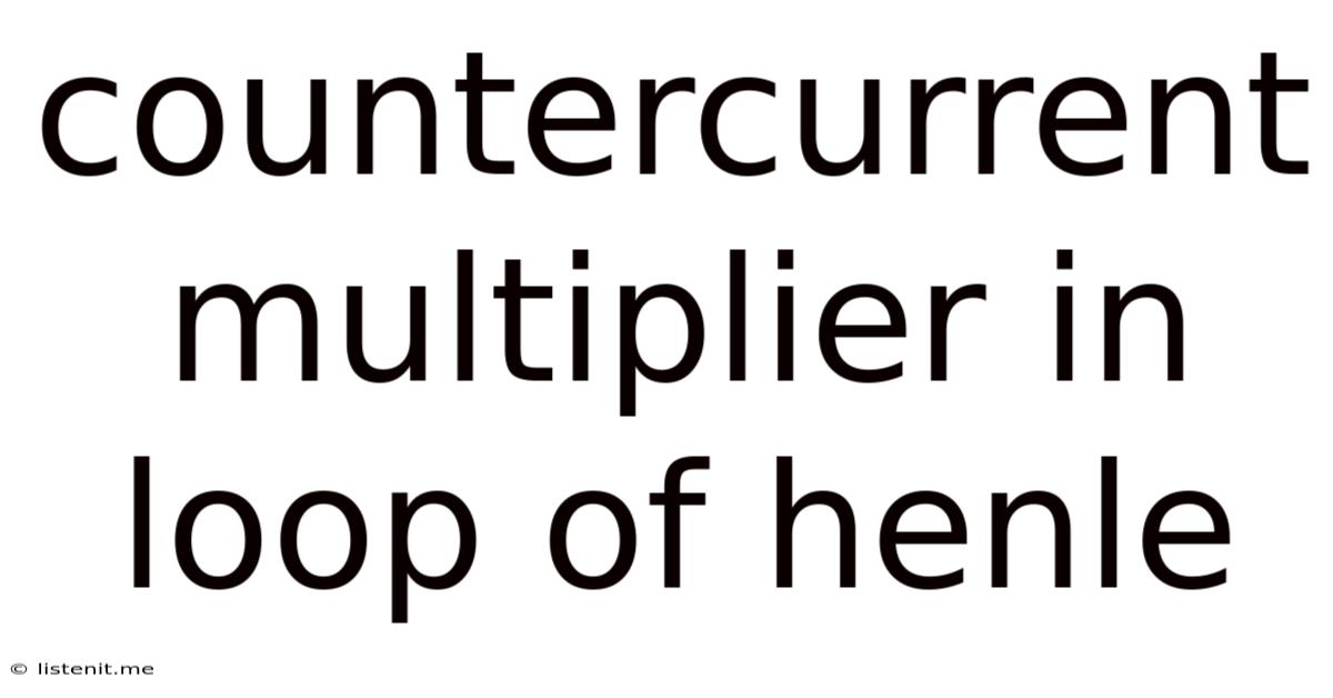 Countercurrent Multiplier In Loop Of Henle