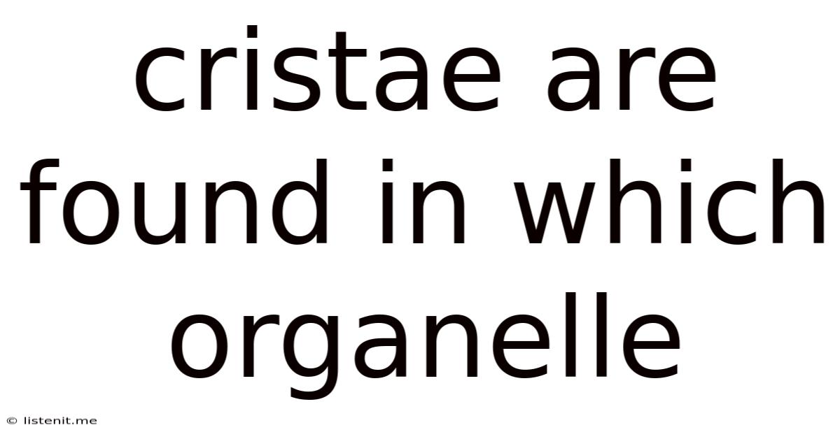 Cristae Are Found In Which Organelle