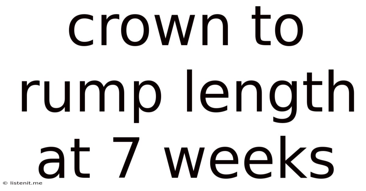 Crown To Rump Length At 7 Weeks