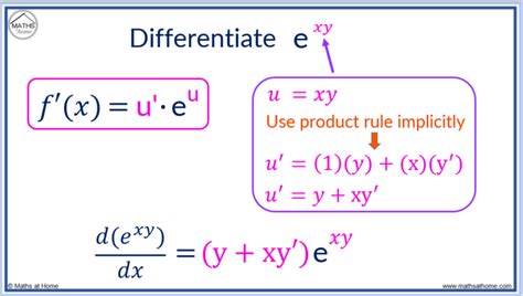 Derivative Of E To The Xy