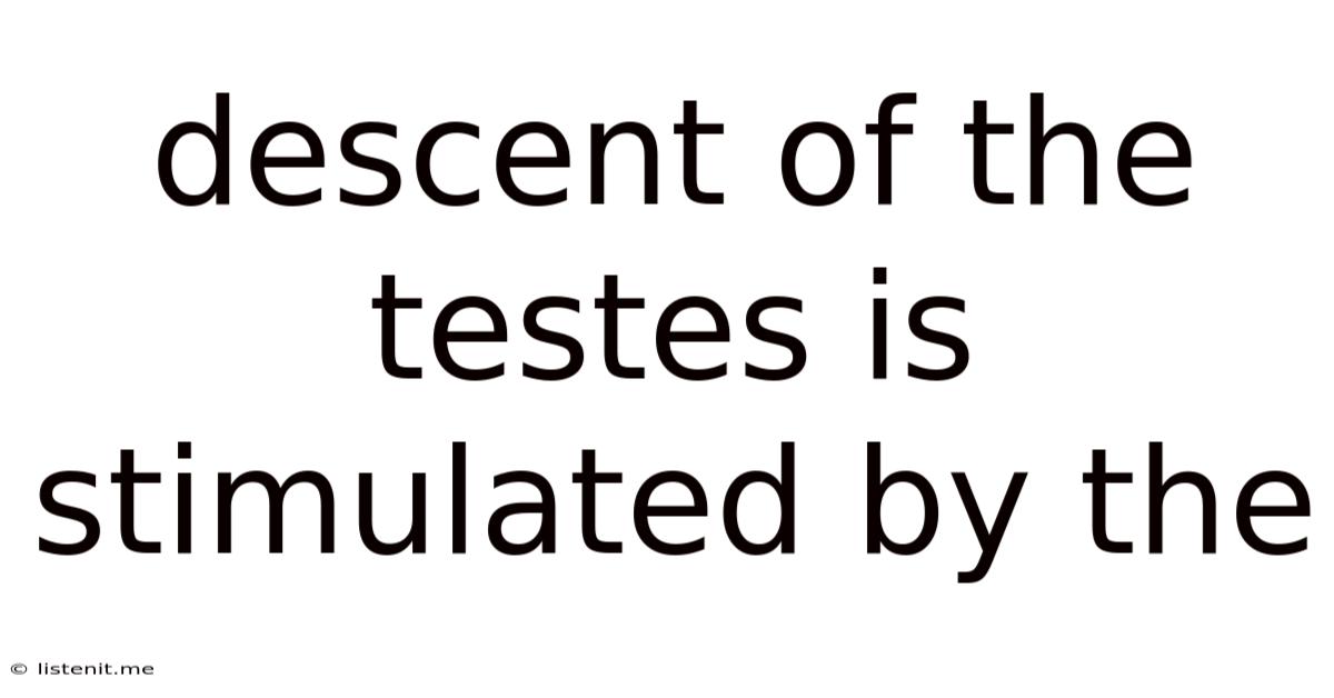 Descent Of The Testes Is Stimulated By The