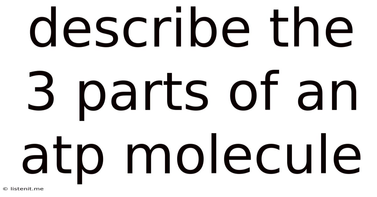 Describe The 3 Parts Of An Atp Molecule