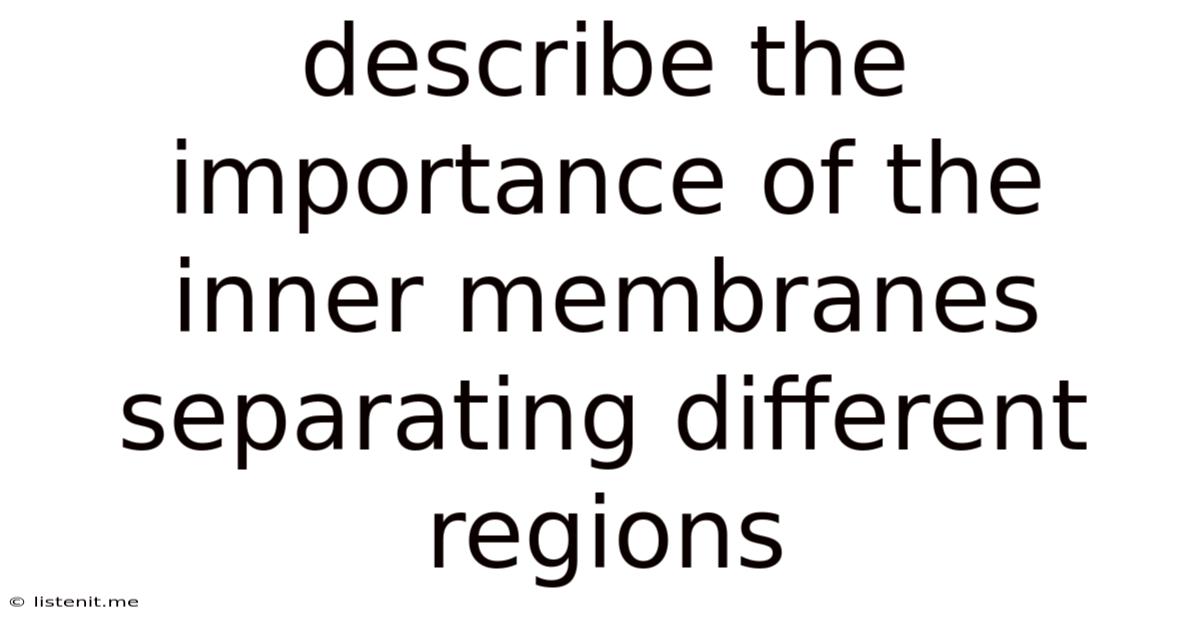 Describe The Importance Of The Inner Membranes Separating Different Regions