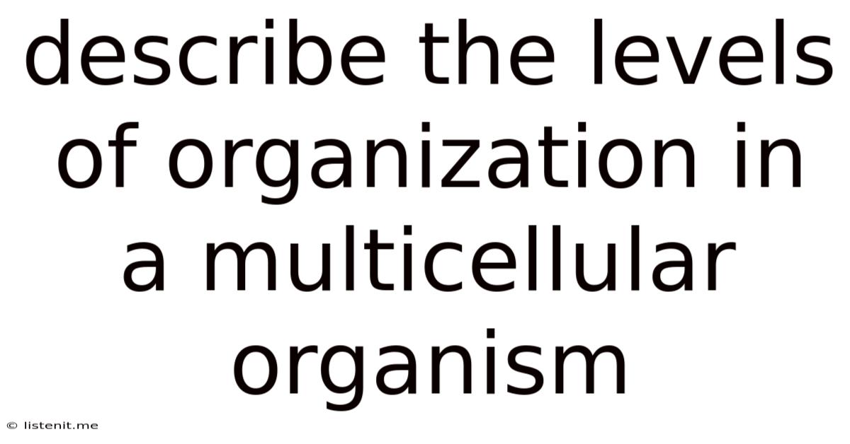 Describe The Levels Of Organization In A Multicellular Organism