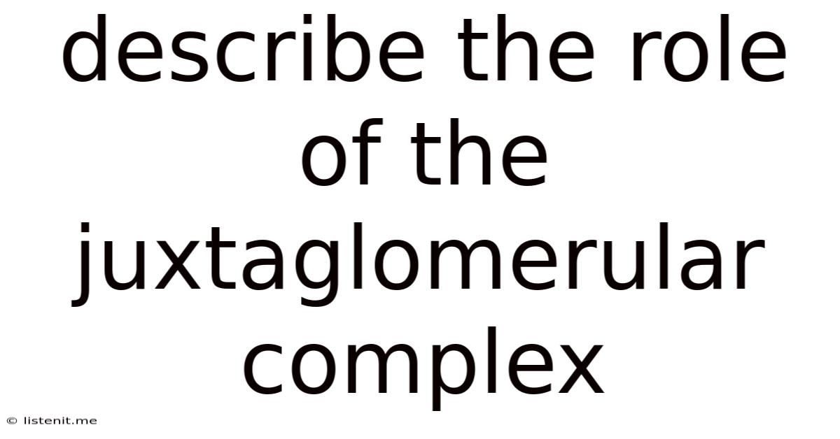 Describe The Role Of The Juxtaglomerular Complex