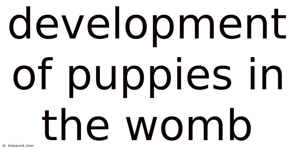 Development Of Puppies In The Womb