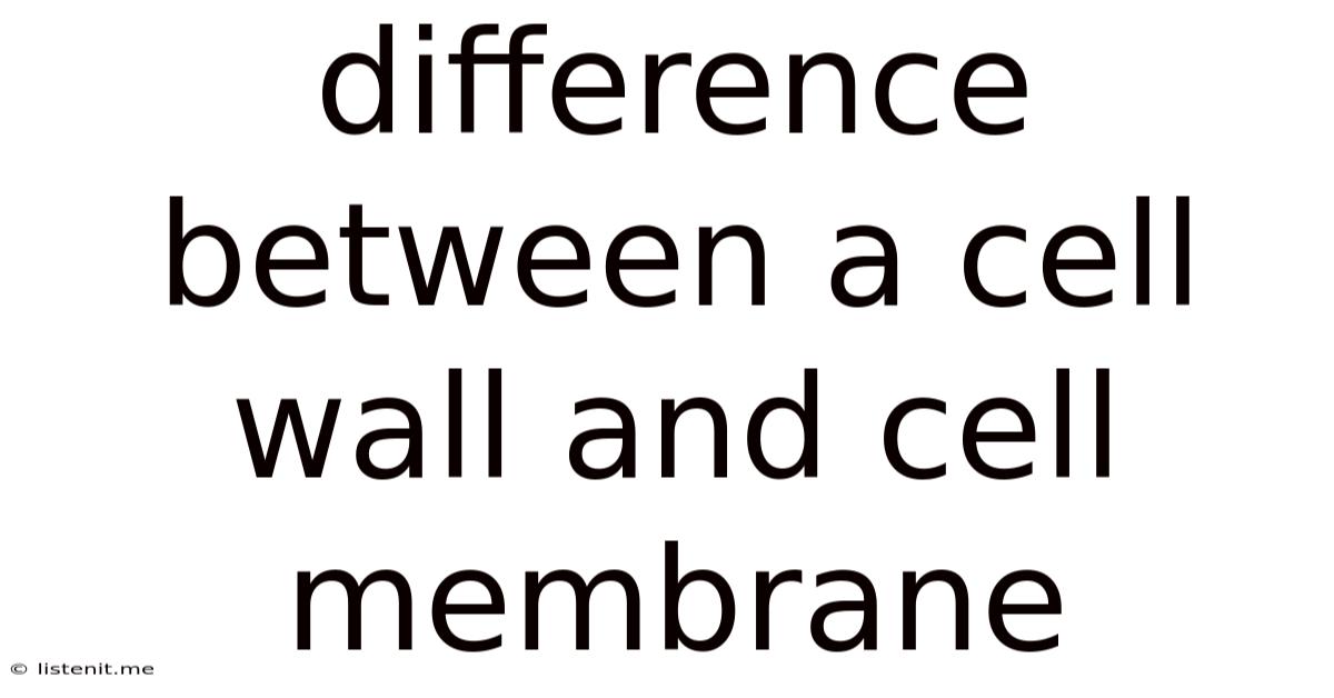 Difference Between A Cell Wall And Cell Membrane