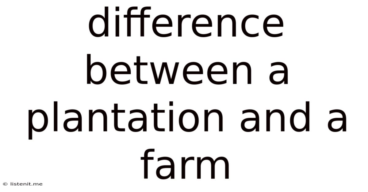 Difference Between A Plantation And A Farm