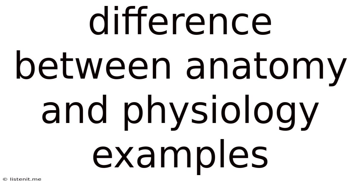 Difference Between Anatomy And Physiology Examples
